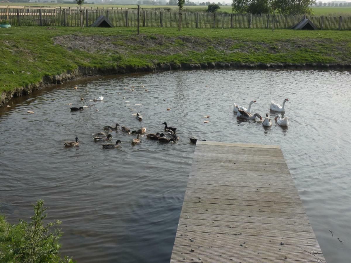 Holiday home Vakantiehoeve 't Goed Ter Leeuwen De Haan